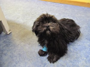 Chanelle na de ingrepen, klaar om naar huis te gaan