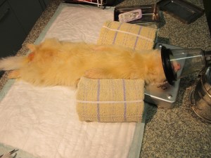 Snow tijdens operatie