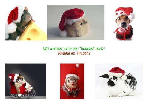 kerstkaart 2016